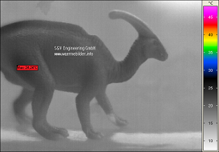 Parasaurolophus